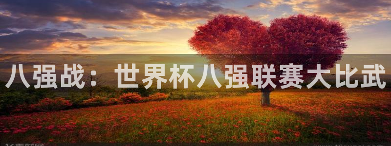 2026世界杯:八强战:世界杯八强联赛大比武