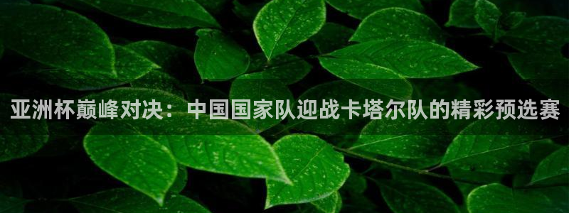 世界杯决赛圈球队:亚洲杯巅峰对决:中国国家队迎战卡塔尔队的精彩预选赛