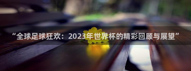 2026世界杯亚洲区预选赛赛程:“全球足球狂欢:2023年世界杯的精彩回顾与展望”