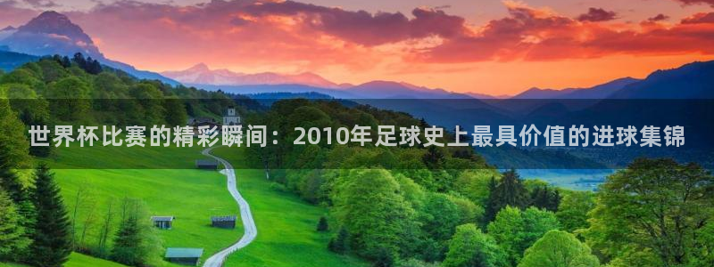 世界杯足球:世界杯比赛的精彩瞬间:2010年足球史上最具价值的进球集锦